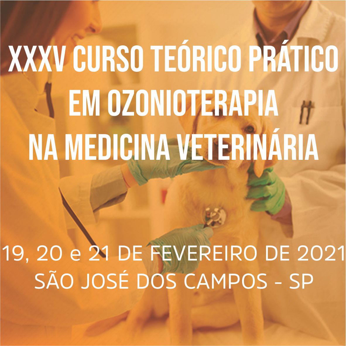 XXXV CURSO TE\u00d3RICO PR\u00c1TICO DE OZONIOTERAPIA NA MEDICINA VETERIN\u00c1RIA ...