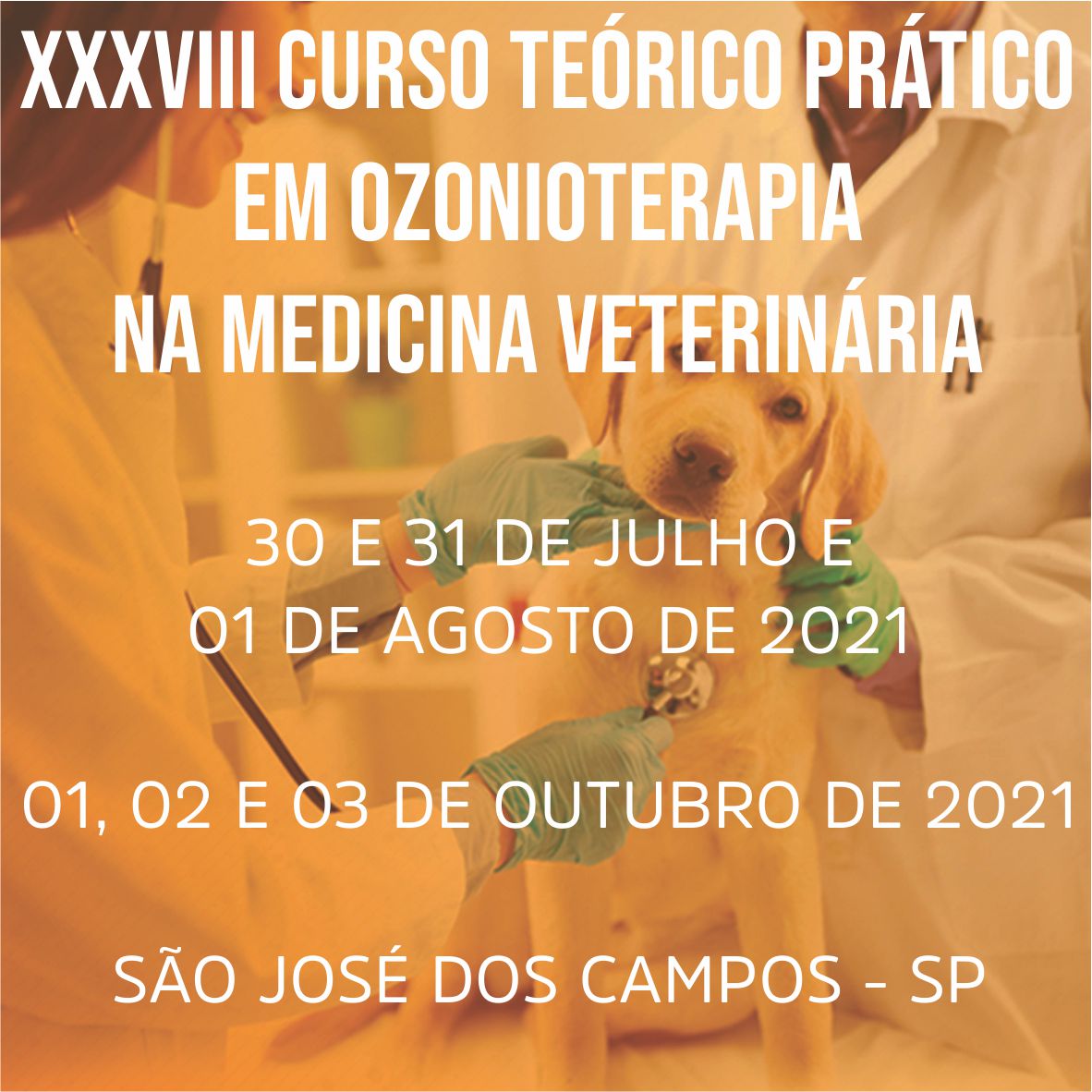 XXXVIII CURSO TE\u00d3RICO PR\u00c1TICO DE OZONIOTERAPIA NA MEDICINA VETERIN\u00c1RIA ...